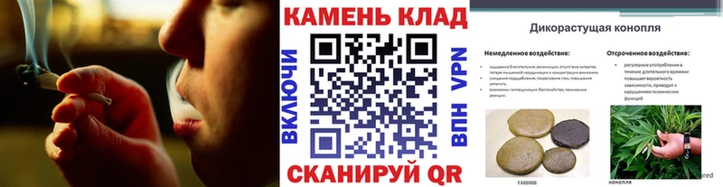 ссылка на мегу как войти  наркота  Далматово  ГАШИШ Cannabis 