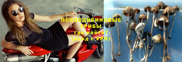 МДПВ Алексеевка