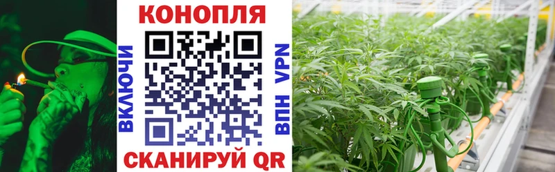 Бошки марихуана SATIVA & INDICA купить закладку Далматово