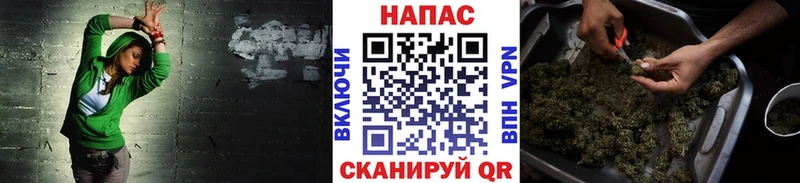 Конопля Amnesia Далматово